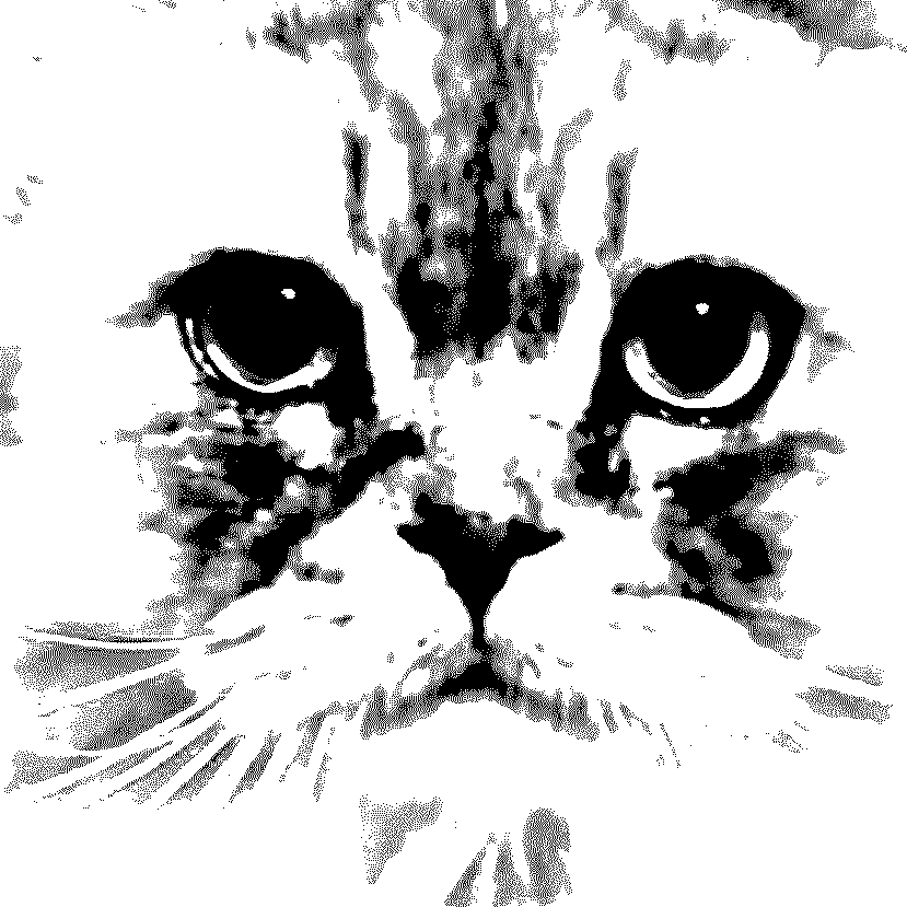 Unser Tiger